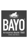 logo-bayo4